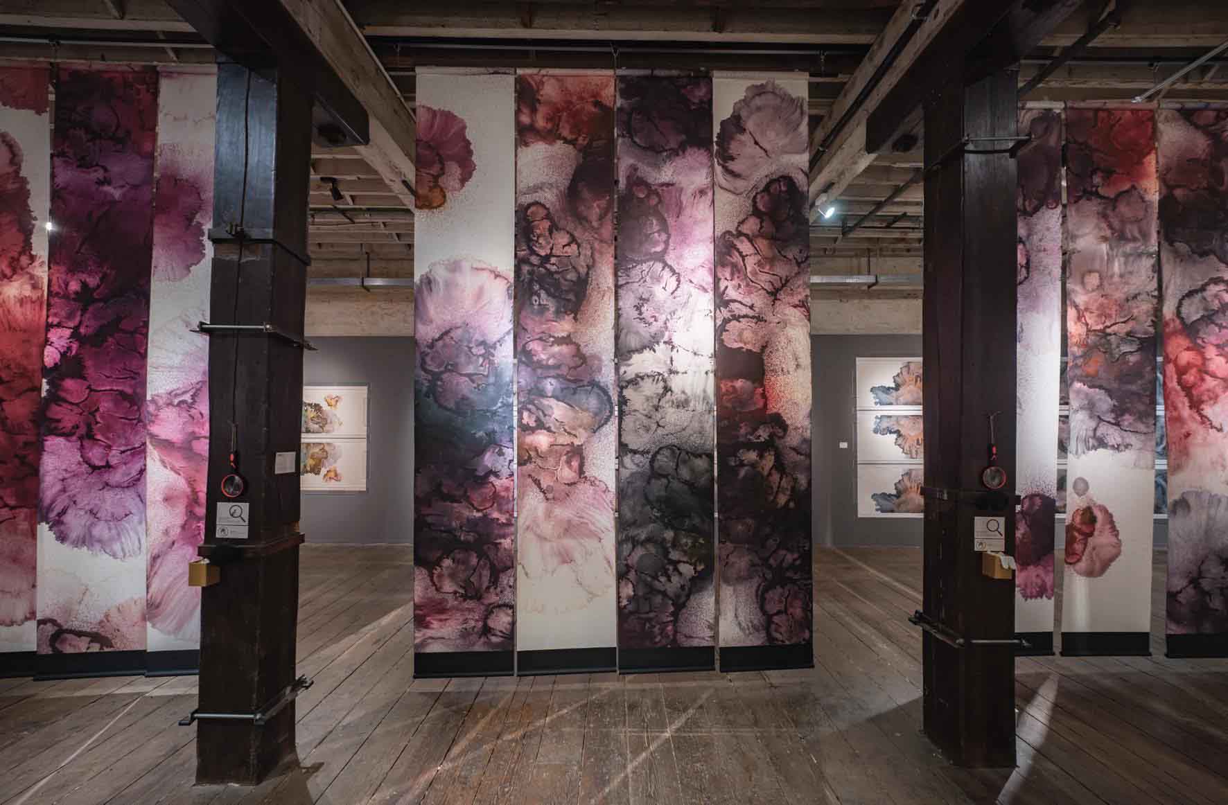 Exhibition installation view