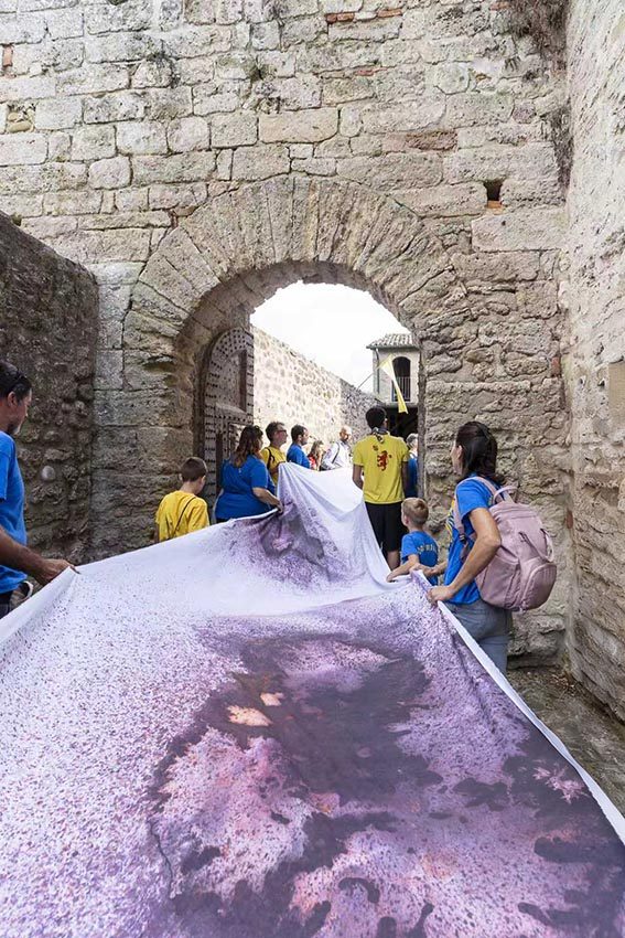 Reborn canvas passing through the castle gate
