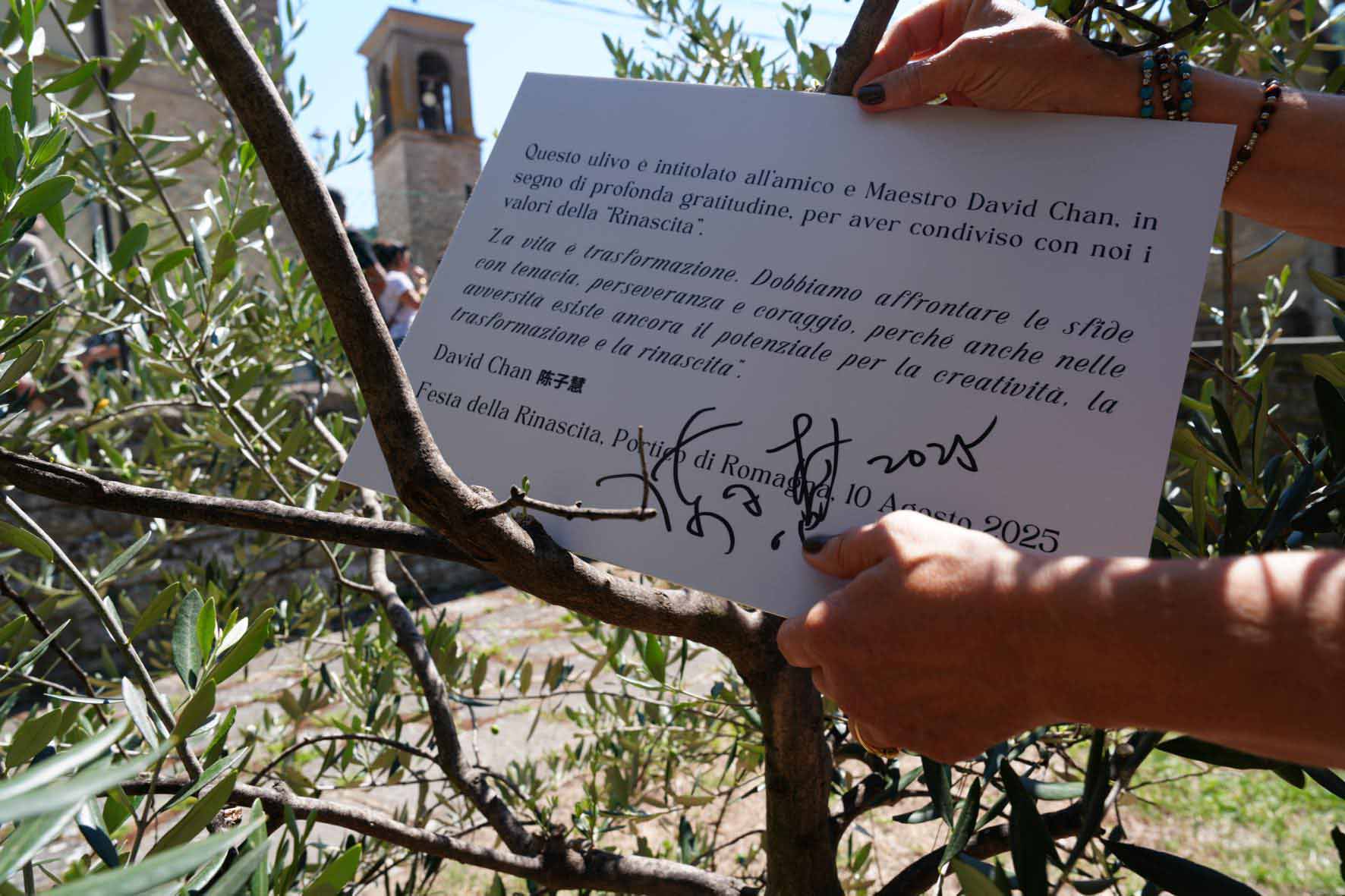 Olive tree ceremony in Castrocaro and Portico