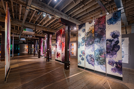 Reborn exhibition hall view