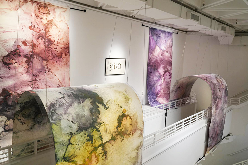 Do You Know exhibition view