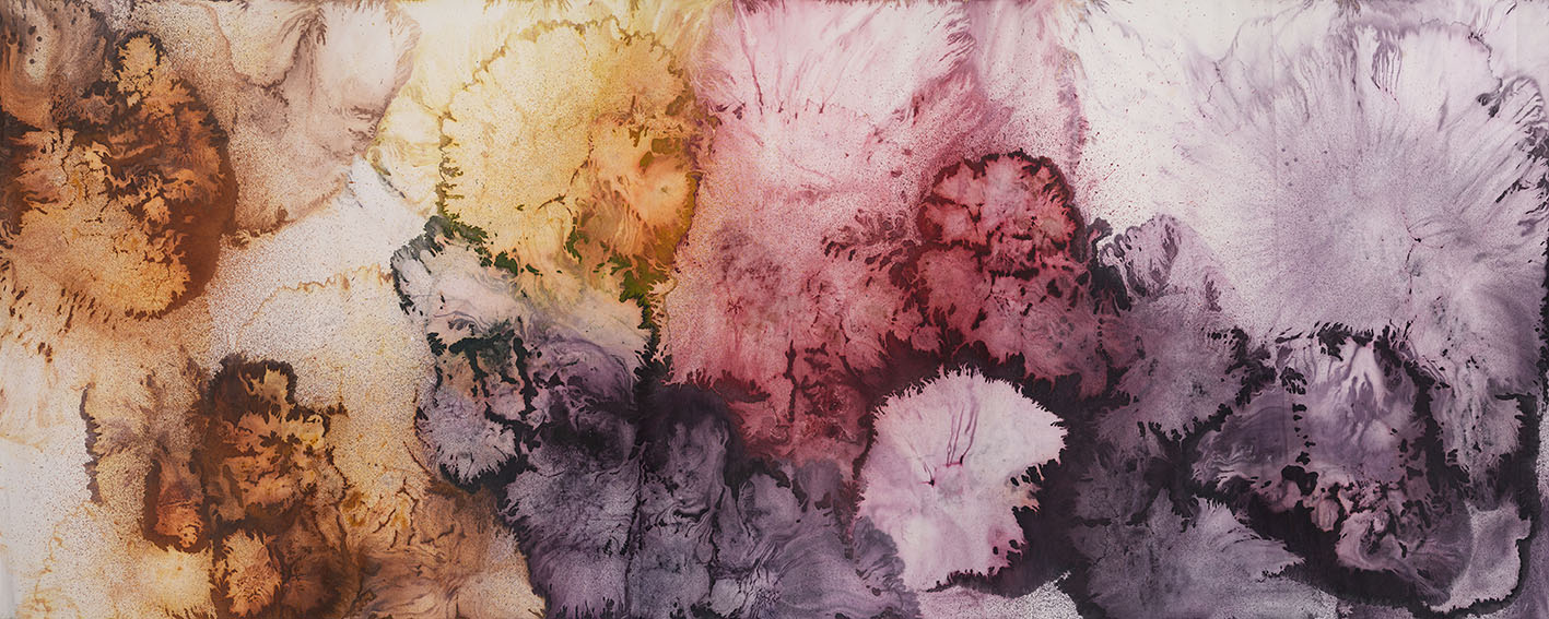 2x5m 2 陽