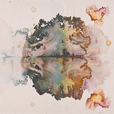 Butterfly Series